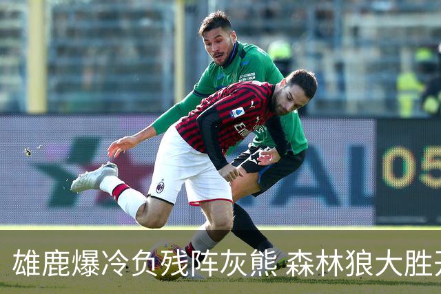 雄鹿爆冷负残阵灰熊 森林狼大胜开拓者4连胜